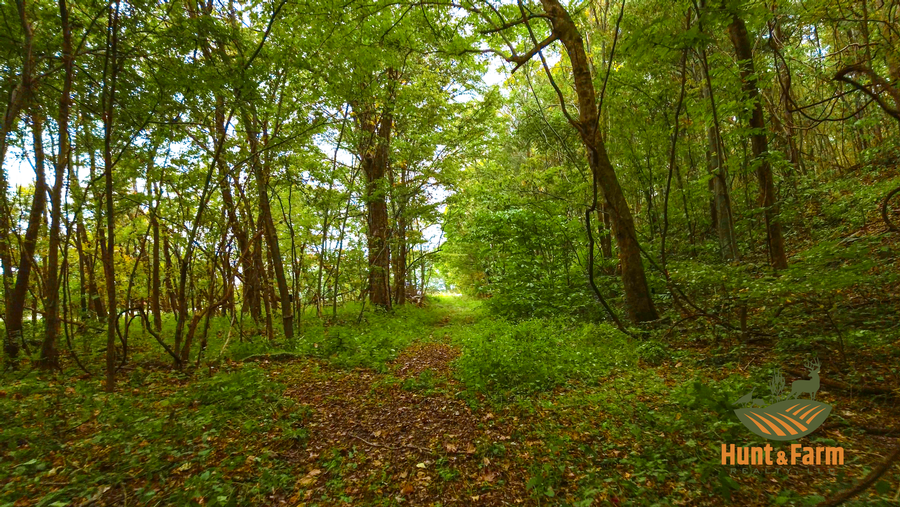 Still 2025-10-30 092500_1.83.1.png